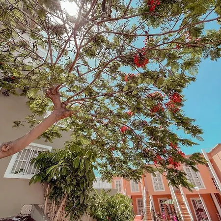 Orlando, Center Of Americas La205 * Costa Adeje