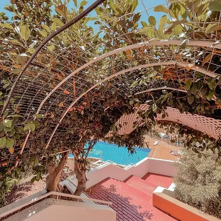 Orlando, Center Of Americas La205 Costa Adeje (Tenerife)