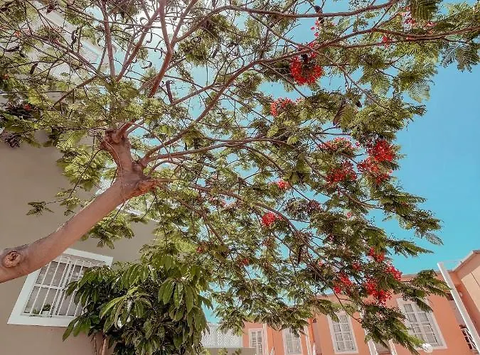 Orlando, Center Of Americas La205 * Адехе